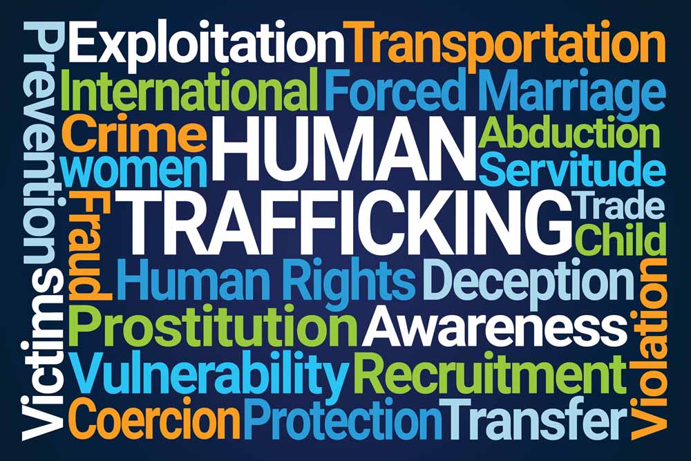 critical thinking questions about human trafficking