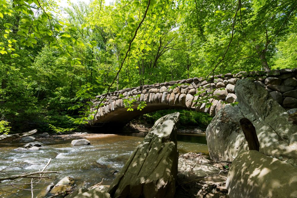 Rock Creek Park