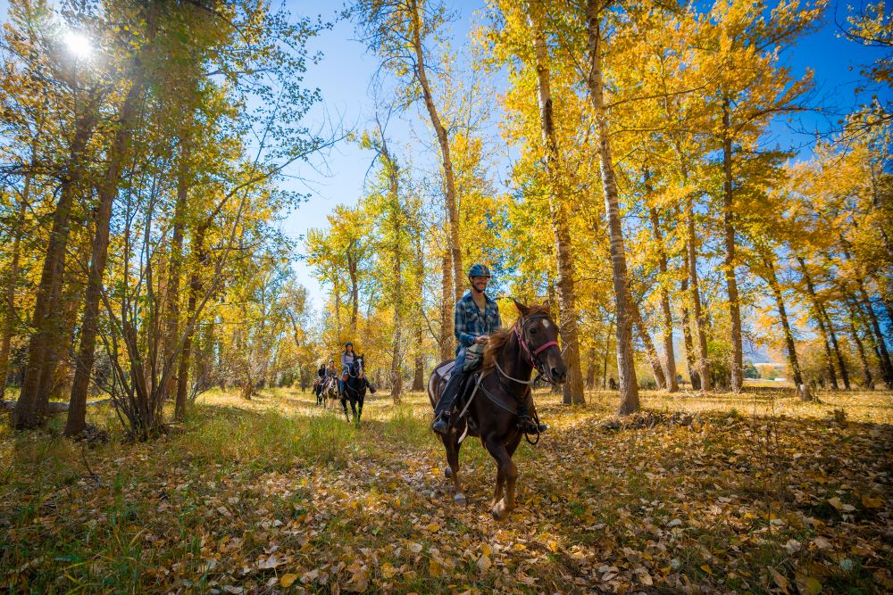 Lolo National Forest, Missoula, Montana