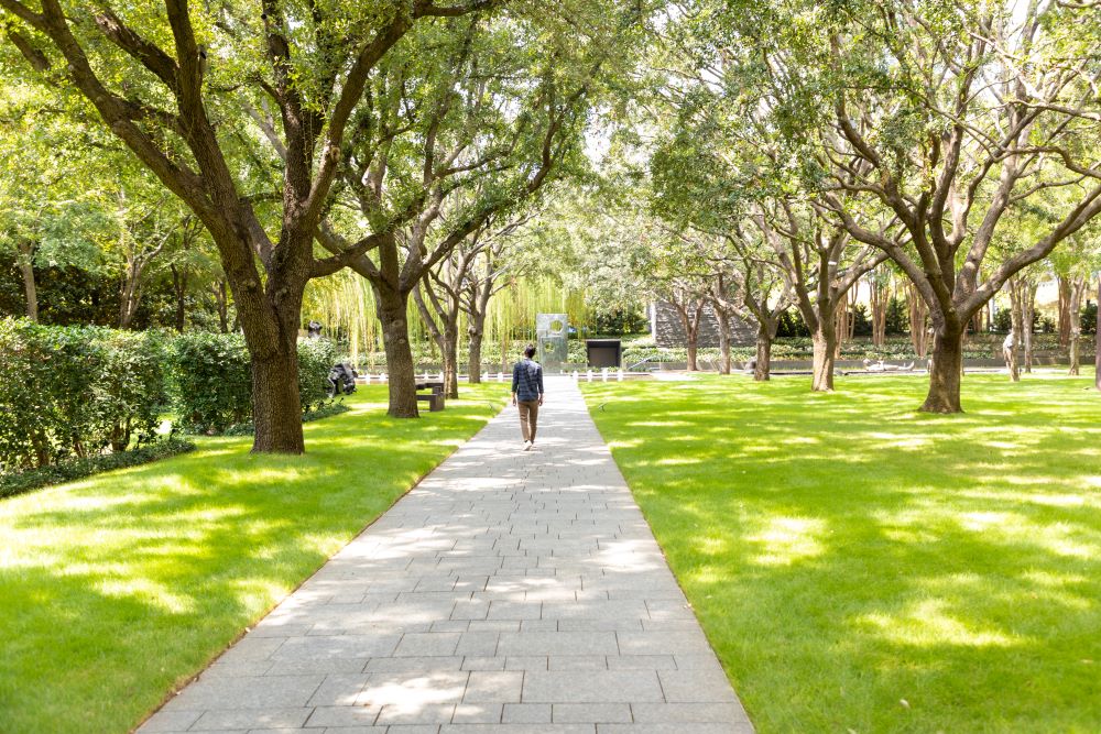 Nasher Sculpture Center