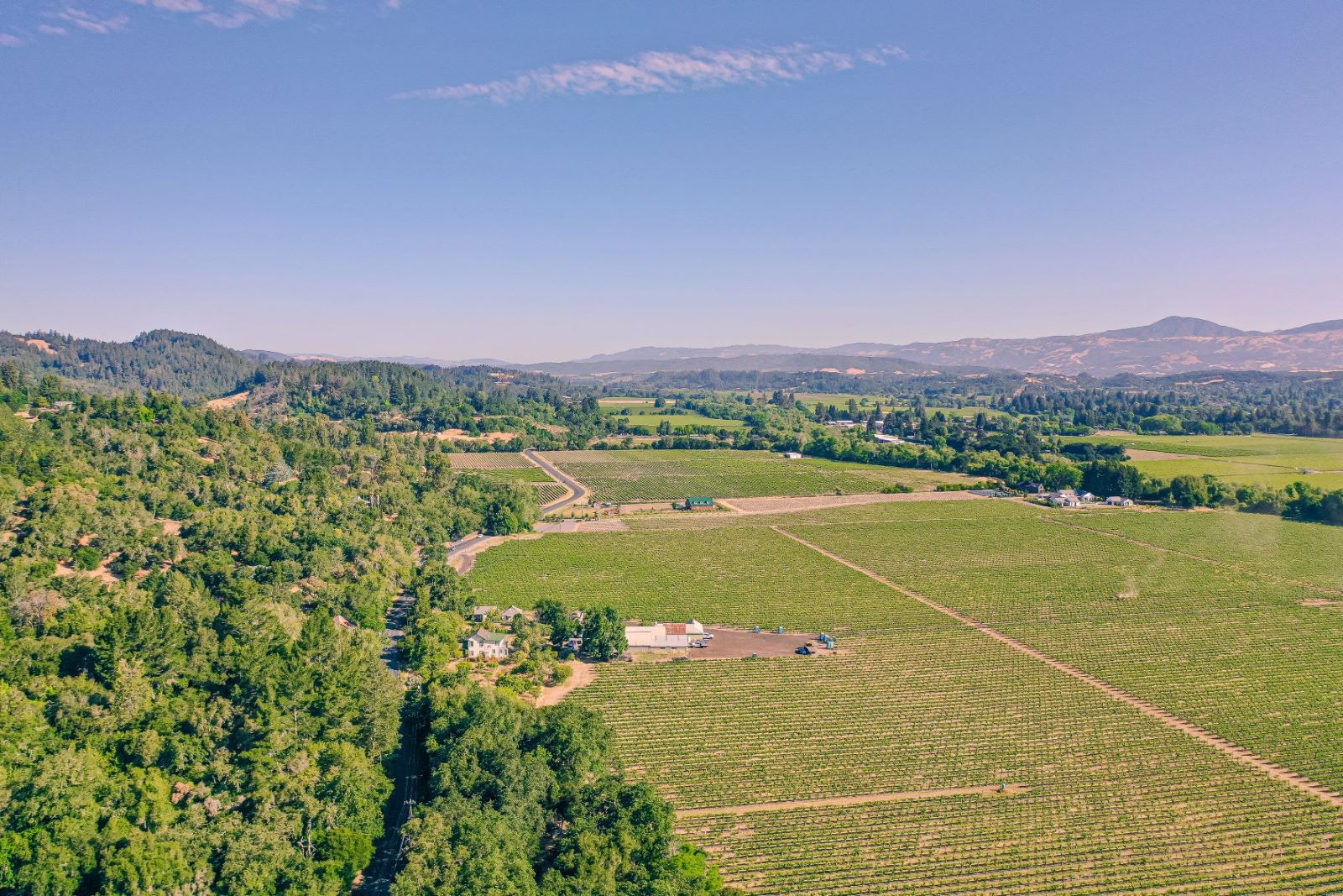 Healdsburg view