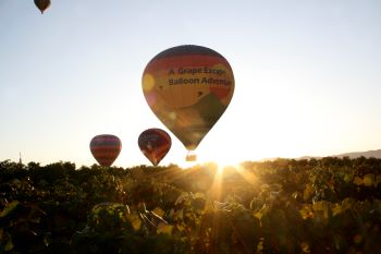 A Grape Escape hot-air balloon adventure at sunrise. Credit: Visit Temecula Valley