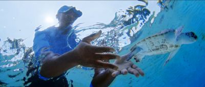 Atlantis Paradise Island's Atlantis Blue Project Foundation Turtle Release Program
