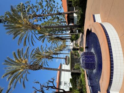 Photo of fountain and palm tree-lined walkway at Omni La Costa Resort & Spa.