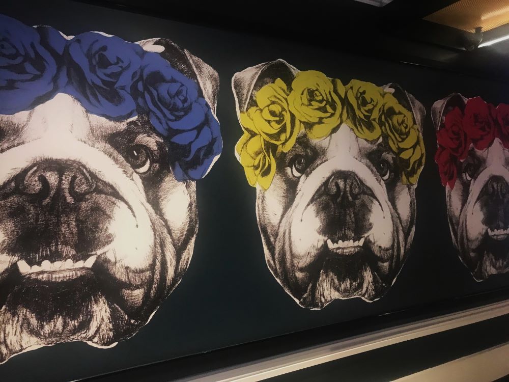 Photo of bulldog mural at Gordon Ramsay Truffles Pub, Harrah's Cherokee Casino Resort.