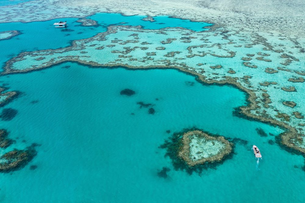 Great Barrier Reef, Queensland, Australia. Credit: Tourism Australia.