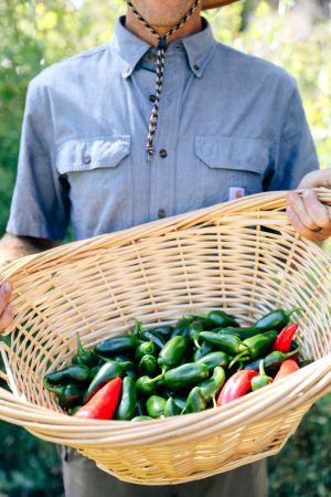 Man holding basket of peppers at Harvest Farm peppers, The Ranch at Laguna Beach.