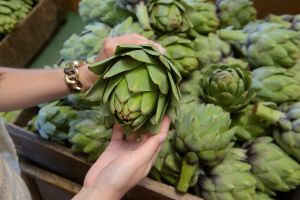 Photo of hands holding an artichoke.