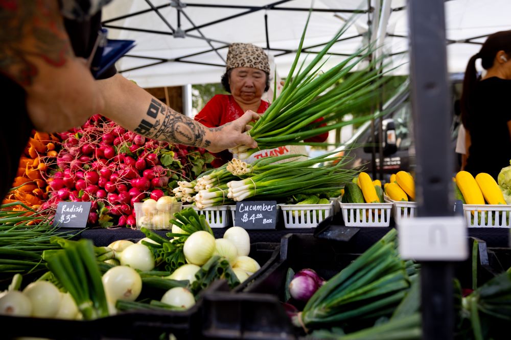 Madison's Dane County Farmers’ Market. Credit: Destination Madison