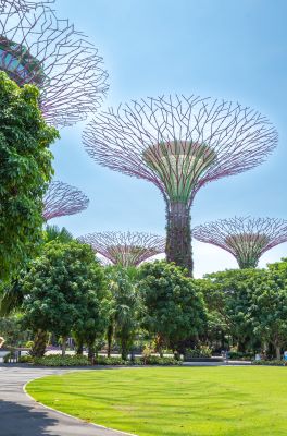 Singapore Sustainability