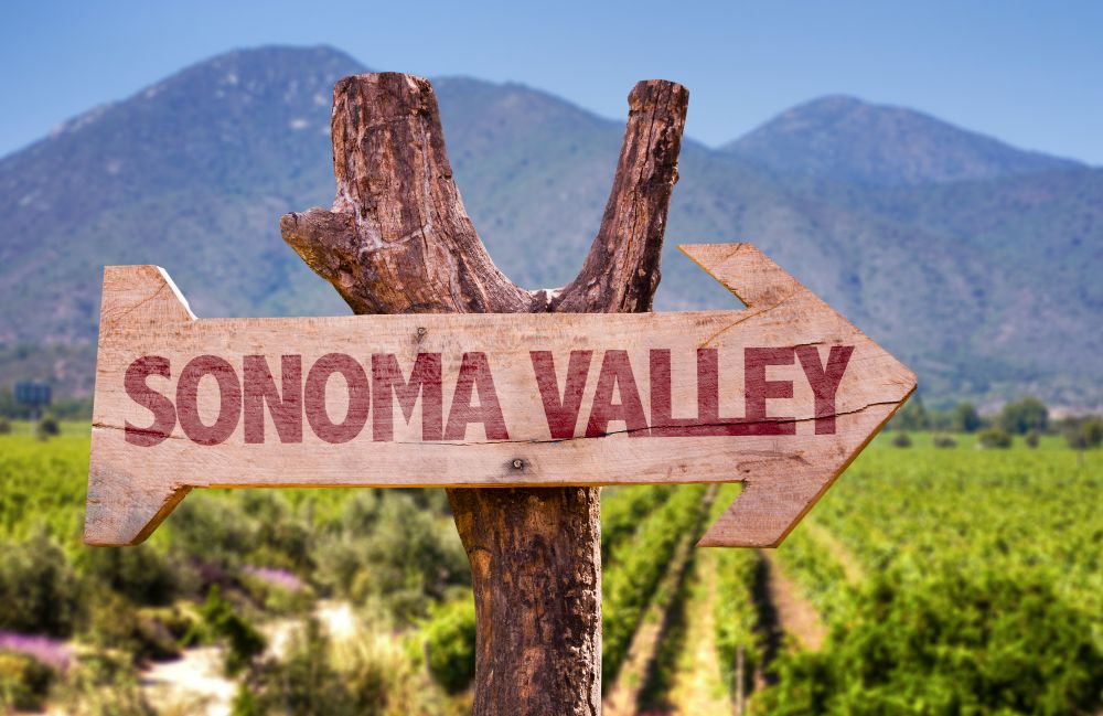 A Sonoma Valley sign on a wine stock in a vineyard.