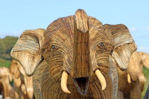 The Great Elephant Migration on Newport's Cliff Walk.