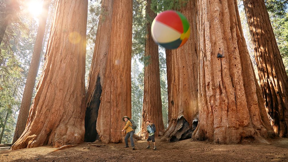 Visit California's "Let's Play" campaign Sequoia National Park photo.