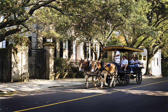 Historic Carriage Tour, Charleston, S.C.