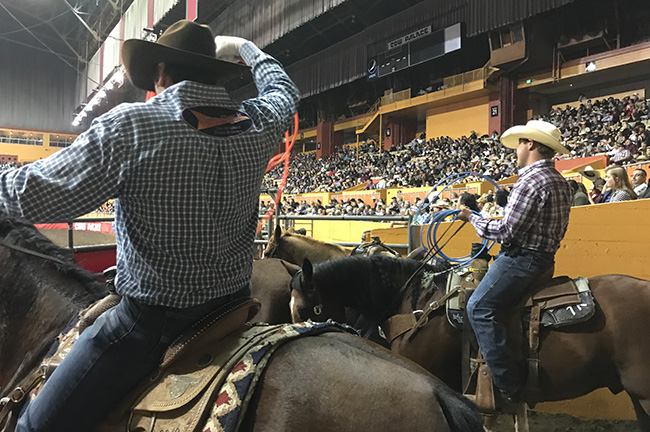 Just a Couple of Cowboys Gearing Up for the Grand National Rodeo