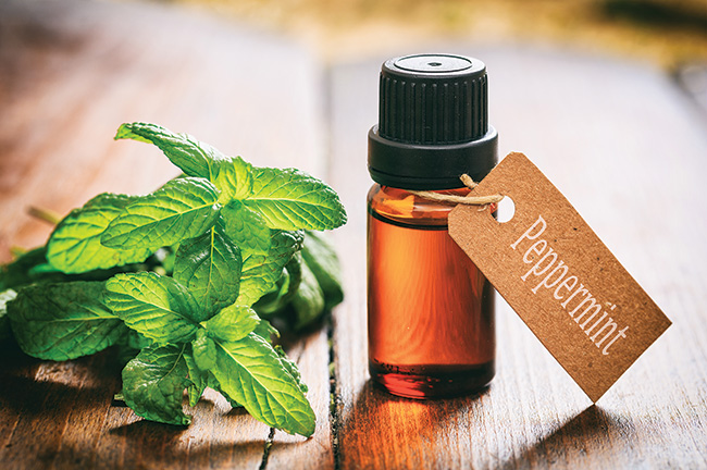 Peppermint Essential Oil