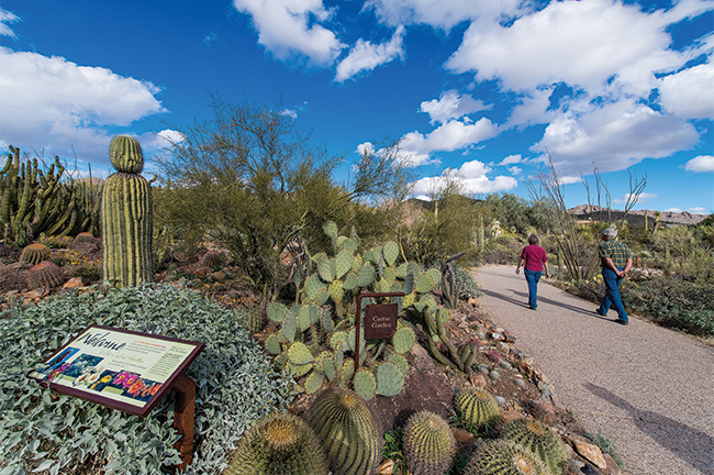 Arizona-Sonoran  Desert Museum, Tucson, Ariz.