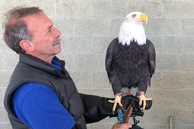 Man Holding an American Eagle at Pelican Bay at Cherry Creek, Credit Lori Tenny