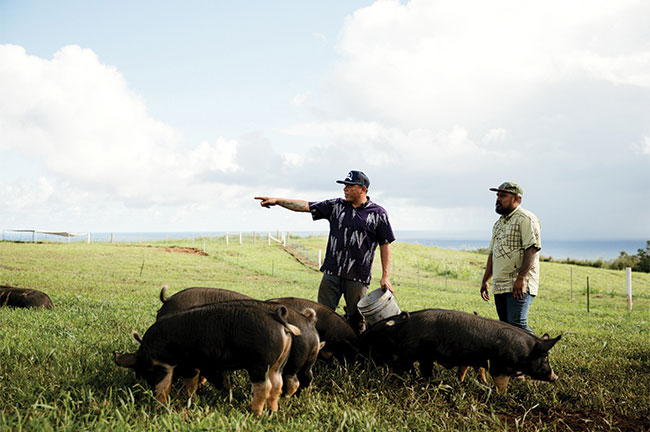 Brandon Lee Of Kaunamano Farm, East Hawaii, And Visiting Chef