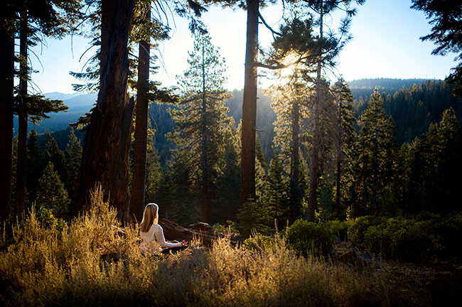Forest Meditation at Ritz Carlton, Lake Tahoe