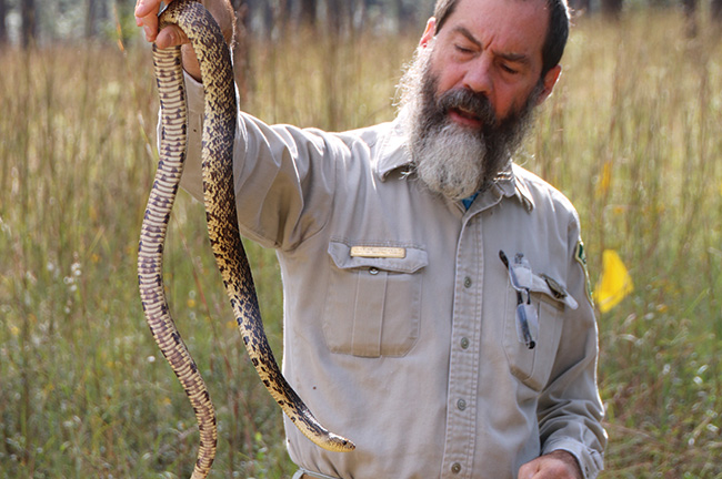 Steve Shively, Wildlife Biologist, Calcasieu Ranger District, Kisatchie National Forest