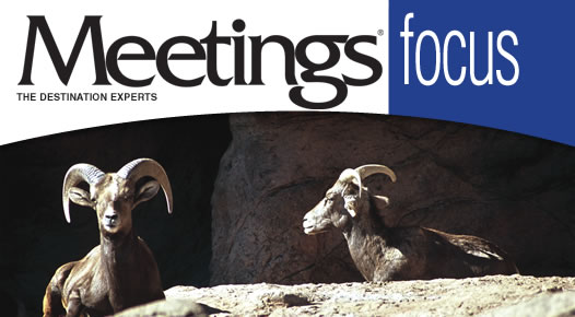 Meetings Focus - the Destination Experts