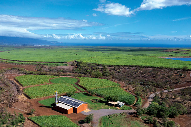 Hawaii Sea Spirits, Aerial Shot, Maui