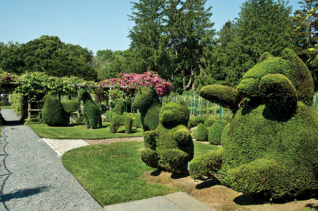 Green Animals Topiary Garden, newport