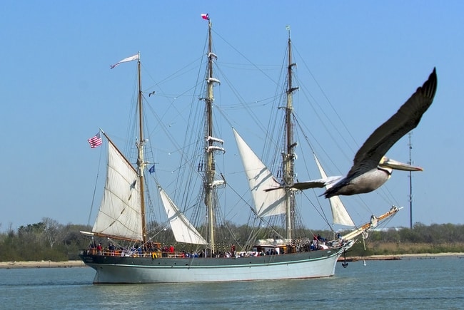 Credit: Galveston CVB Caption: Texas Seaport Museum ship