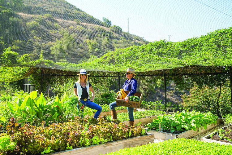 One Gun Ranch Owners Alice Bamford and Ann Eysenring