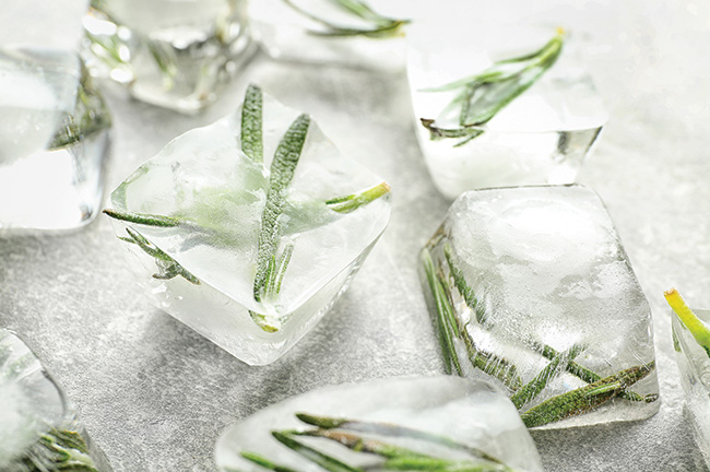 Ice Cubes With Fresh Herbs