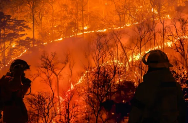 Firefighters Fighting a Wildfire