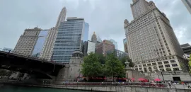 Views from the Chicago River