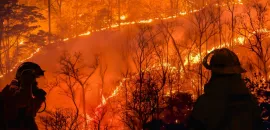 Firefighters Fighting a Wildfire