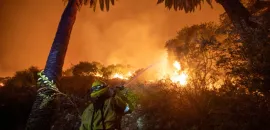 Firefighters battle the Eaton fire. Credit: Ringo Chiu.