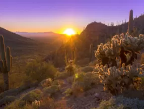 Tucson, Arizona landscape