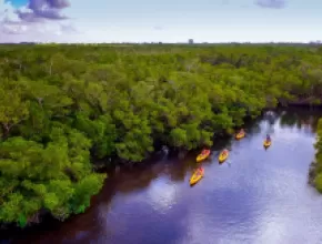 Kayaking in The Beaches of Fort Myers & Sanibel