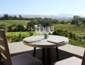 Four wine glasses and a table overlooking a vineyard in Healdsburg