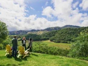 Attendees gathering outside in Napa Valley