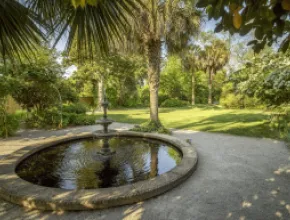 Seibels House Fountain