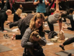 MGM Resorts International's Mindful Matters Series Puppy Yoga Event