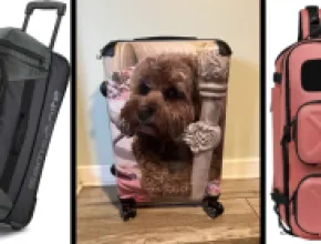 From left: Samsonite Andante 2 Wheeled Rolling Duffel Bag; Custom Photo Suitcase; and The Backpack Islanders Guava Intense