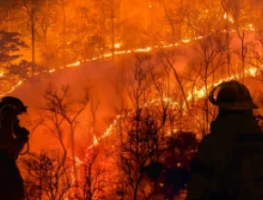 Firefighters Fighting a Wildfire