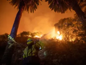 Firefighters battle the Eaton fire. Credit: Ringo Chiu.