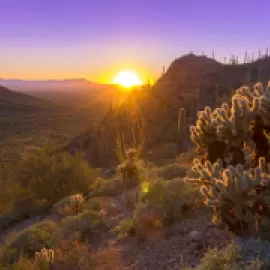 Tucson, Arizona landscape
