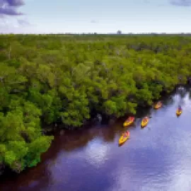 Kayaking in The Beaches of Fort Myers & Sanibel