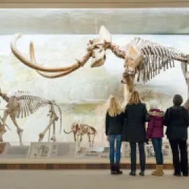 Morrill Hall in Lincoln, Nebraska