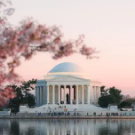Cherry blossoms and Lincoln Memorial in Washington, D.C.