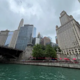 Views from the Chicago River