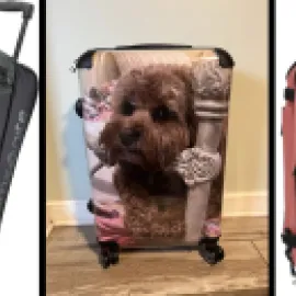 From left: Samsonite Andante 2 Wheeled Rolling Duffel Bag; Custom Photo Suitcase; and The Backpack Islanders Guava Intense